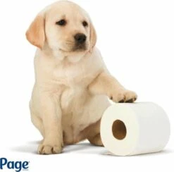 Page Toiletpapier - Eco - Duurzaam - 24 Rollen - Voordeelverpakking -Thuis Opslag Winkel 1200x1186 4