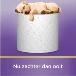 Scottex Toiletpapier - Kussenzacht Design Wc Papier - 84 Rollen 9 Scottex Toiletpapier - Kussenzacht Design Wc Papier - 84 Rollen -Thuis Opslag Winkel 1200x1197 3