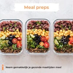 Formilo Meal Prep Bakjes - Lekvrije Vershoudbakjes - Diepvriesbakjes - Luchtdicht - BPA Vrij - Glas - 10 Stuks -Thuis Opslag Winkel 1200x1200 1738