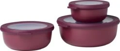 Mepal - Multikom Cirqula 3-delige Set (350 + 750 + 1250 Ml) - Mag In De Vriezer, Magnetron En Vaatwasser – Nordic Berry – Meal Prep Bakjes - Bewaardozen Met Deksel