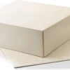 10 Stuks - Taartdoos Karton - 25x25x8 Cm - Duplex - Cake Doos - Gebaksdoos Karton