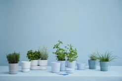 Mepal – Kruidenpot Twin - Wit – Automatische Bewatering – Altijd Verse Kruiden In De Keuken – Ook Geschikt Voor Planten -Thuis Opslag Winkel 1200x798 23