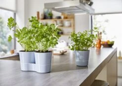 Mepal – Kruidenpot Large - Wit – Automatische Bewatering – Altijd Verse Kruiden In De Keuken – Ook Geschikt Voor Planten -Thuis Opslag Winkel 1200x848 6