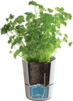 Mepal – Kruidenpot Large - Wit – Automatische Bewatering – Altijd Verse Kruiden In De Keuken – Ook Geschikt Voor Planten -Thuis Opslag Winkel 867x1200 1